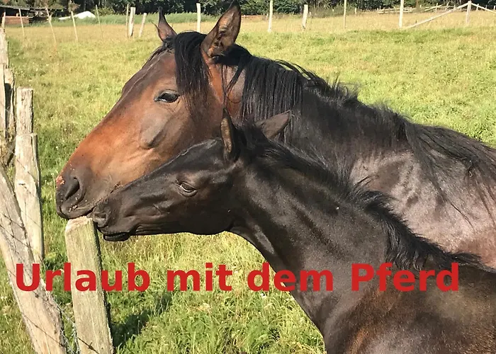 Appartement 4 Schlafzimmer Neustadt (Hessen)